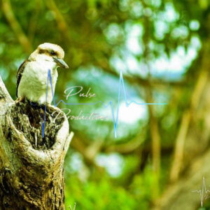 Travel & Nature photo 4