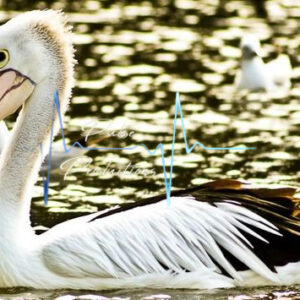 Travel & Nature photo 2